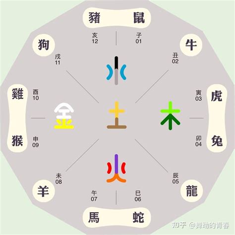 生肖馬五行|【生肖馬五行】生肖馬五行屬什麼？揭曉馬的五行相生相剋秘密